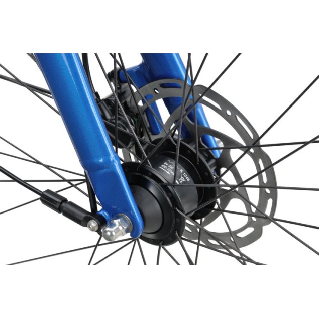 Batavus Dinsdag Exclusive HN7 Batavus Dinsdag Exclusive HN7