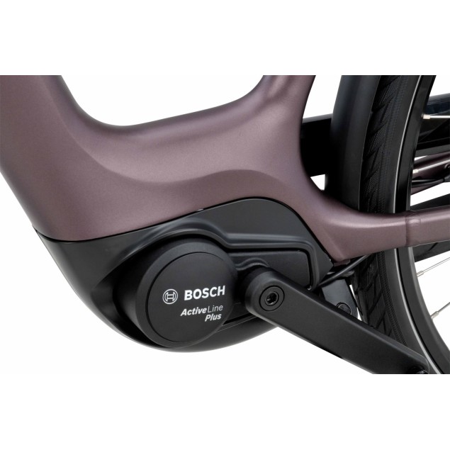 Batavus Finez E-Go Active Plus XN7 Lage instap kopen bij Banierhuis, de grootste Fietsenwinkel in Utrecht. Batavus Finez E-Go Active Plus XN7 Lage instap kopen bij Banierhuis, de grootste Fietsenwinkel in Utrecht.