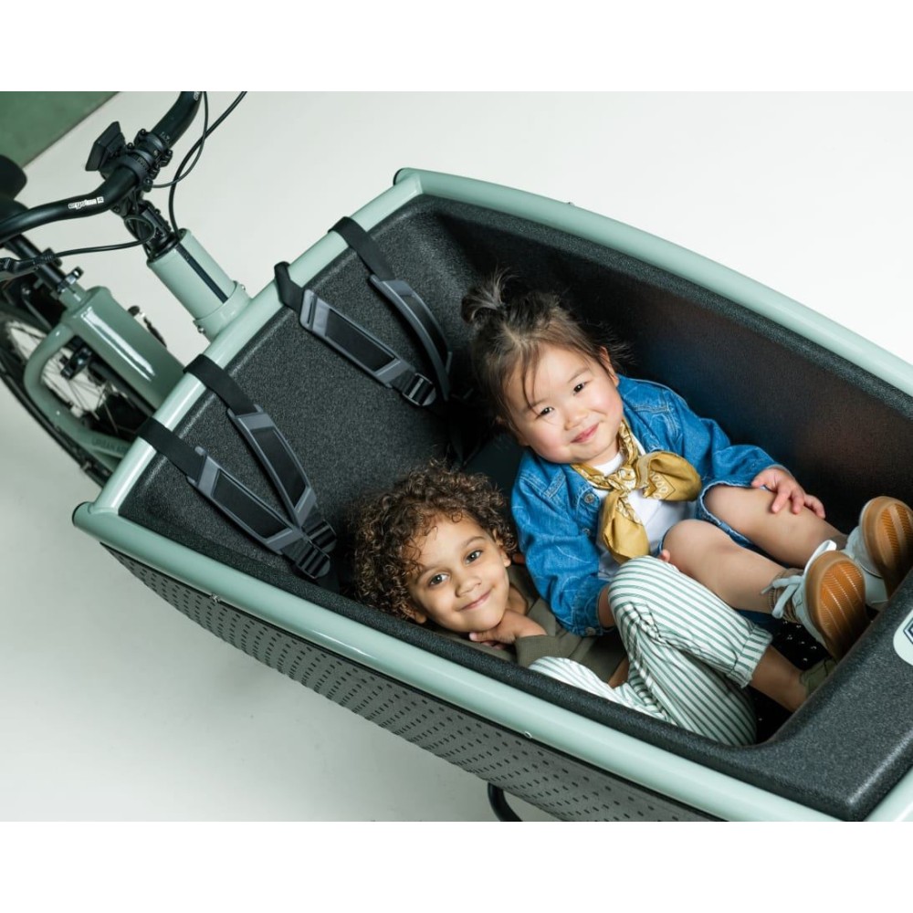 Urban Arrow Family Performance Plus Green kopen bij Banierhuis, de grootste Fietsenwinkel in Utrecht.