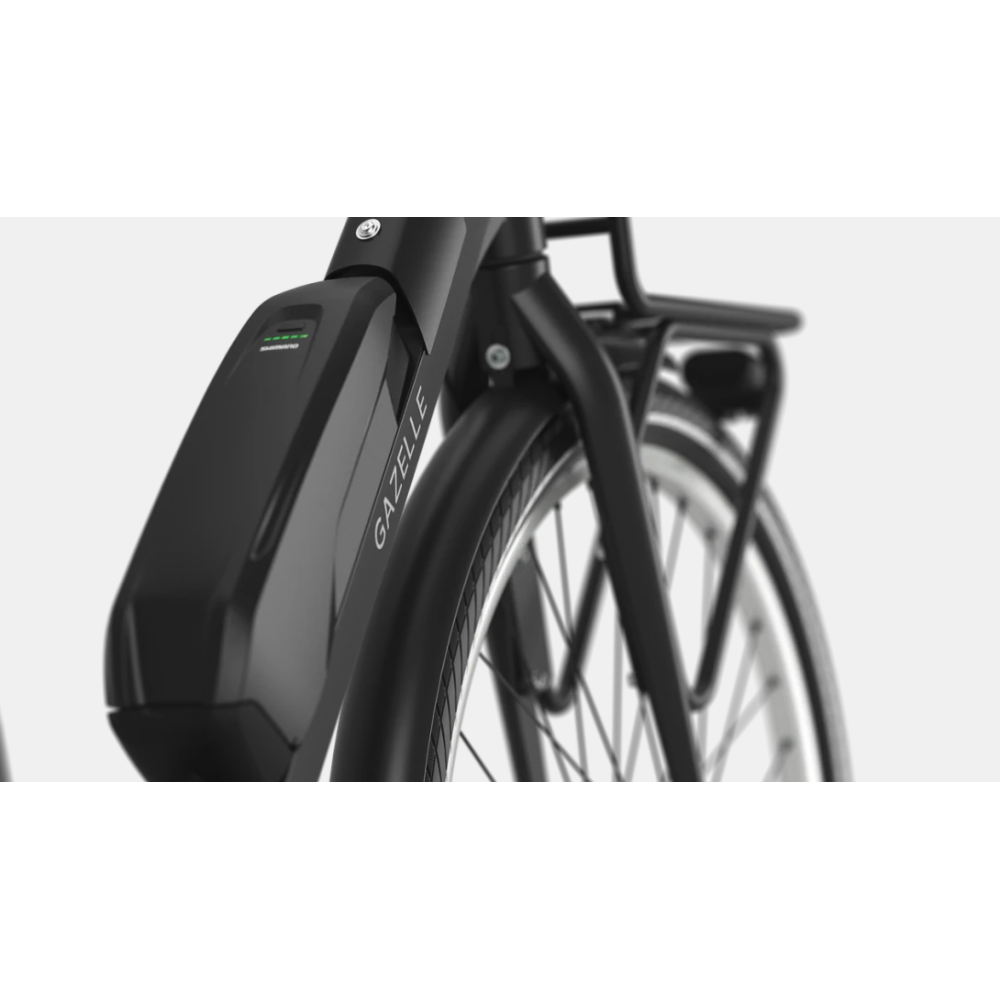 GAZELLE BLOOM C310 HMS kopen bij Banierhuis, de grootste Fietsenwinkel in Utrecht.