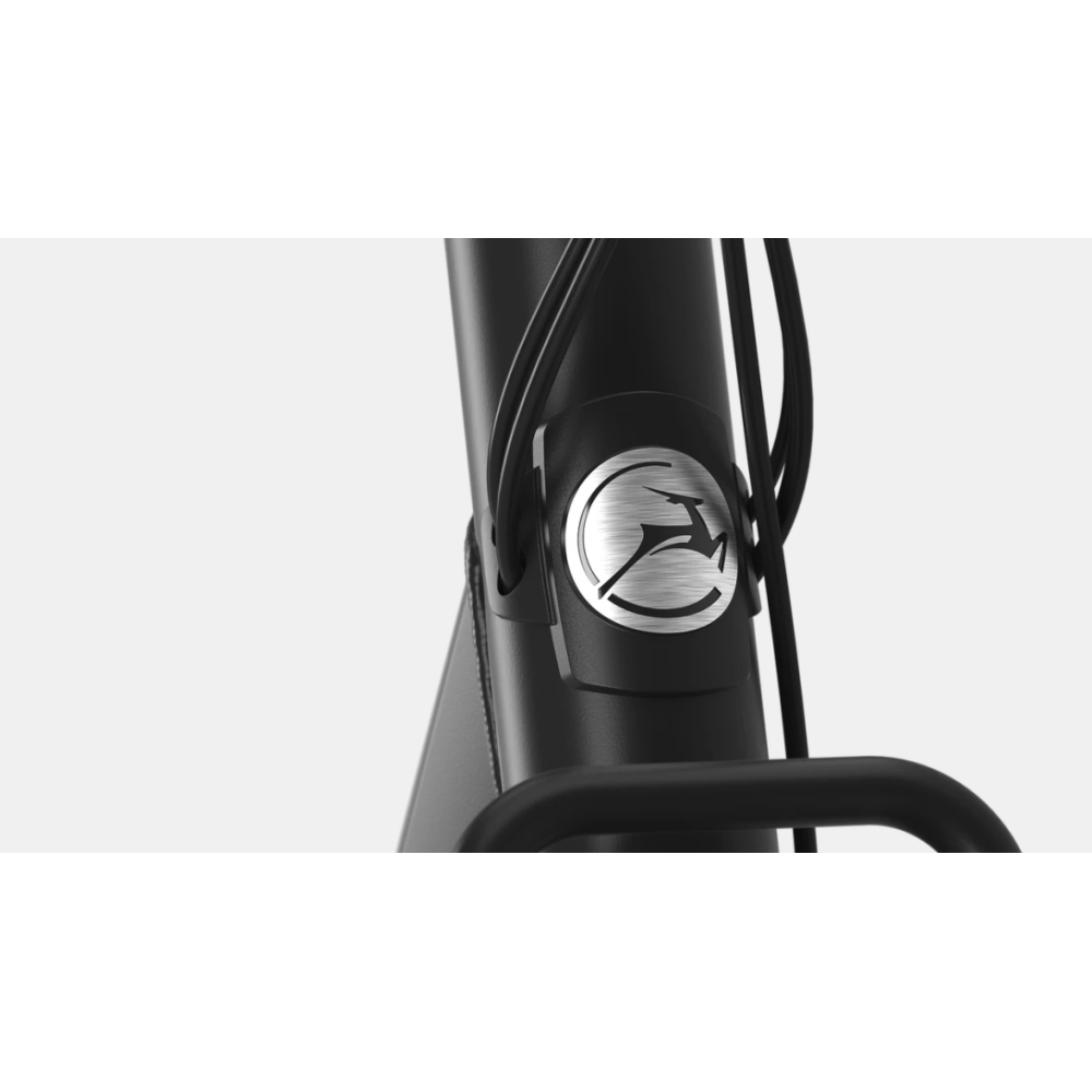 GAZELLE BLOOM C310 HMS kopen bij Banierhuis, de grootste Fietsenwinkel in Utrecht.