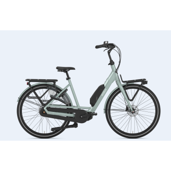 GAZELLE BLOOM C7 HMS S7 (Mat)