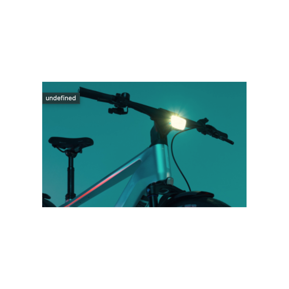 FLYER G1 UPSTREET TR:CF 7.63 kopen bij Banierhuis, de grootste Fietsenwinkel in Utrecht.