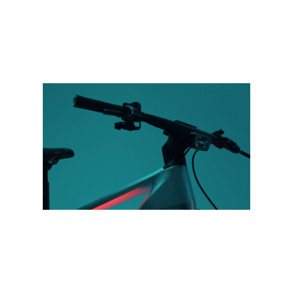 FLYER G1 UPSTREET TR:CF 7.63 kopen bij Banierhuis, de grootste Fietsenwinkel in Utrecht.