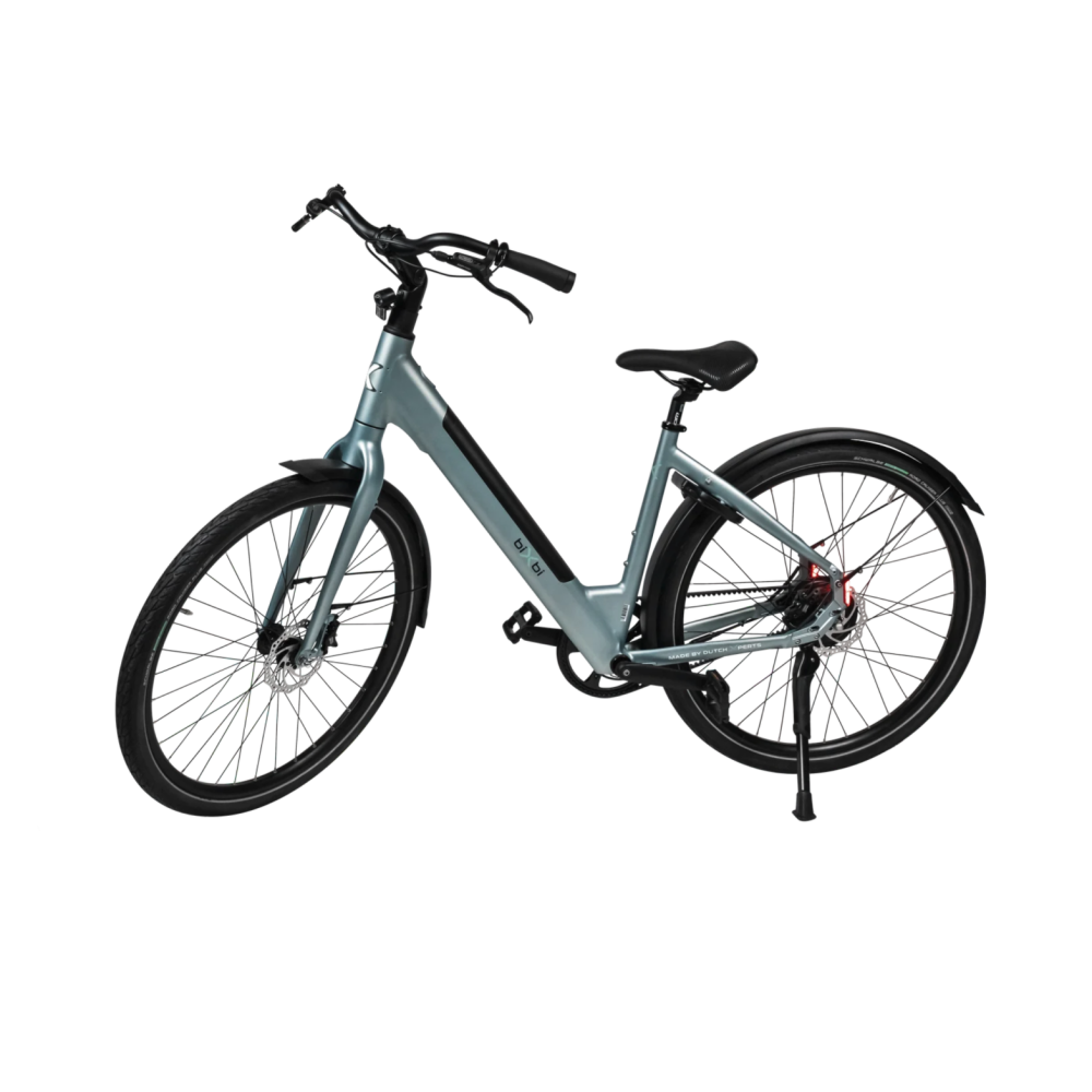 BIXBI FAE 375Wh kopen bij Banierhuis, de grootste Fietsenwinkel in Utrecht.