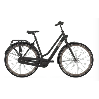 GAZELLE ESPRIT T7 (Mat) Lage instap