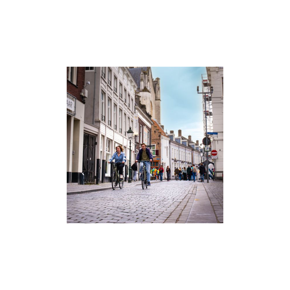 JAN JANSSEN TRANSALPINE kopen bij Banierhuis, de grootste Fietsenwinkel in Utrecht.