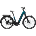 Deep Teal