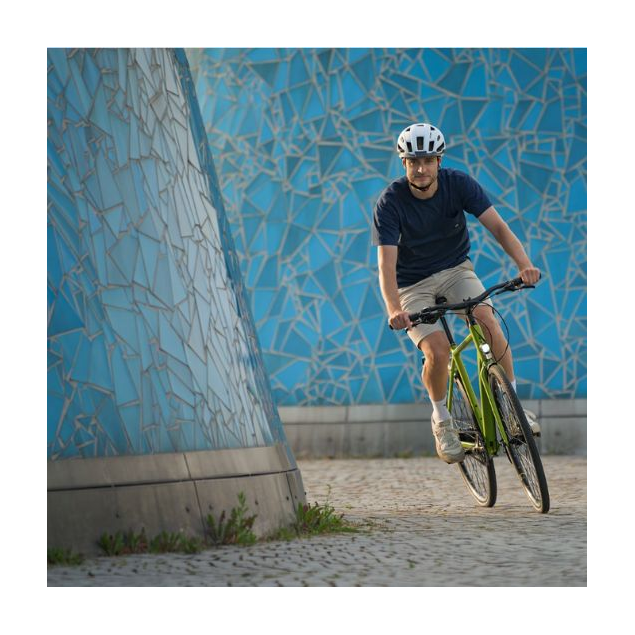 CUBE EDITOR RACE FE CUBE EDITOR RACE FE