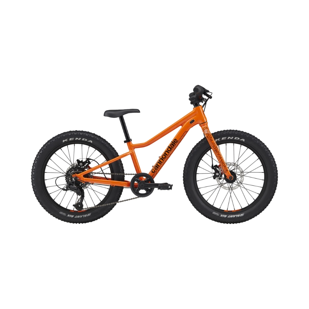 CANNONDALE 20 U Kids Trail Plus