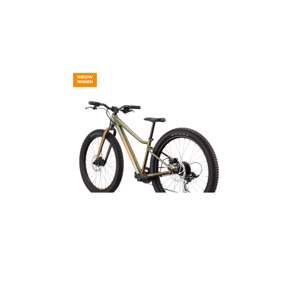 Cannondale Kids Trail Plus 24