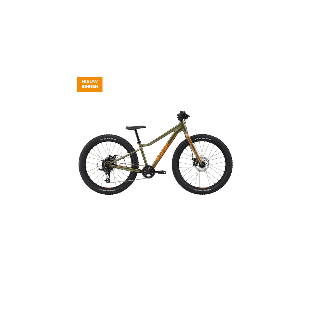 Cannondale Kids Trail Plus 24