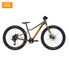 Cannondale Kids Trail Plus 24