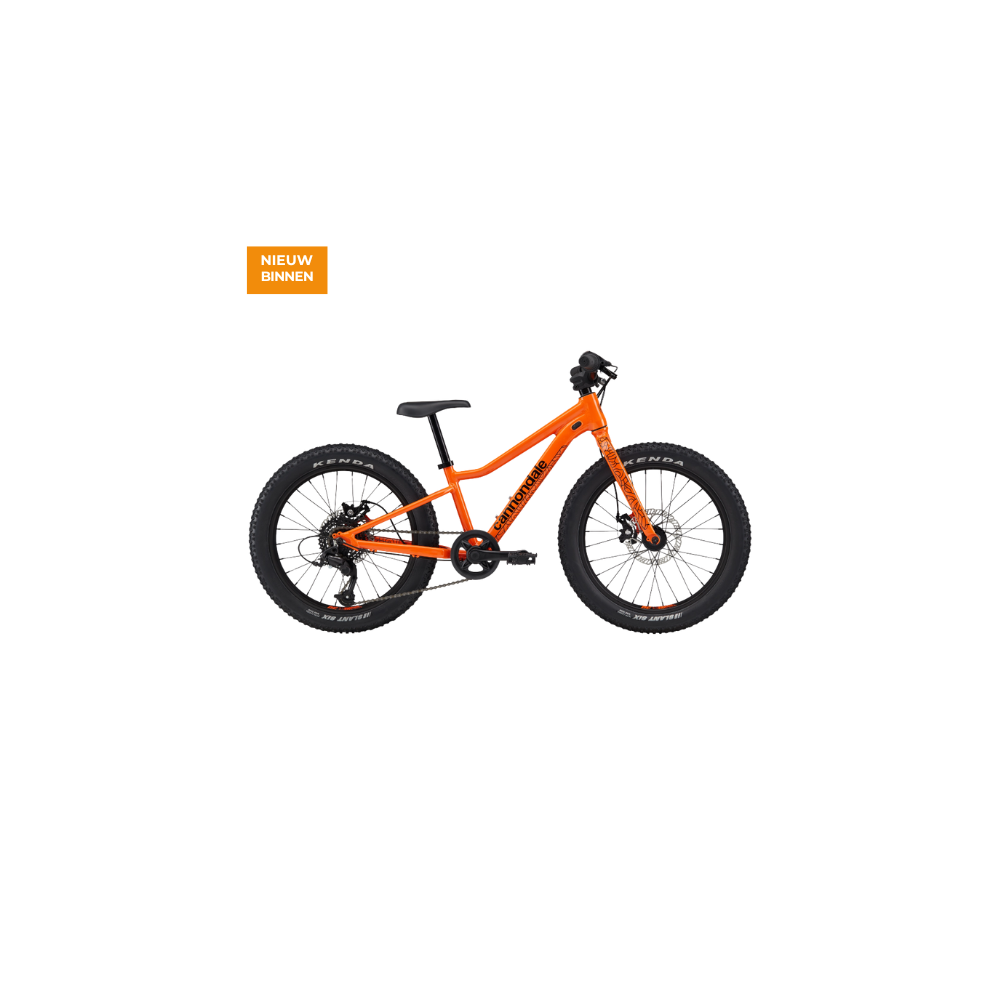 Cannondale Kids Trail Plus 20