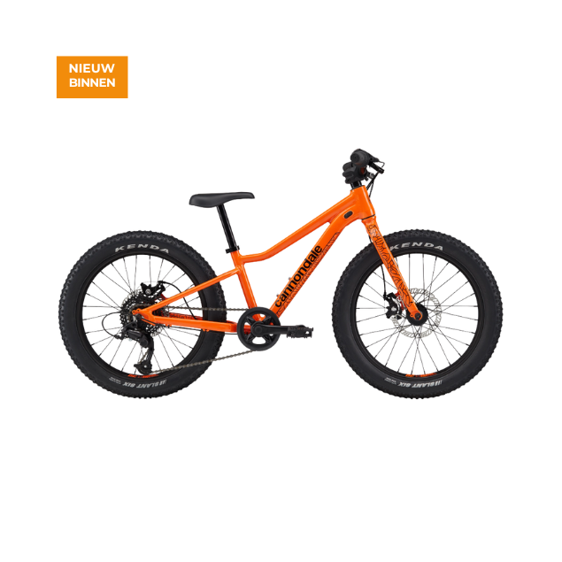Cannondale Kids Trail Plus 20 Cannondale Kids Trail Plus 20