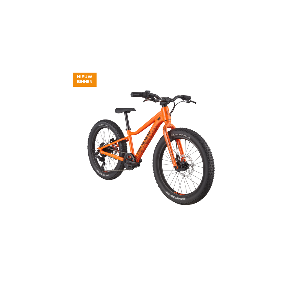 Cannondale Kids Trail Plus 20