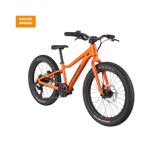 Cannondale Kids Trail Plus 20 Cannondale Kids Trail Plus 20