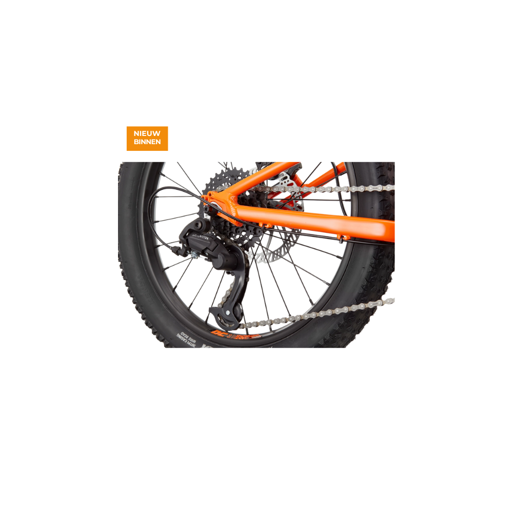 Cannondale Kids Trail Plus 20