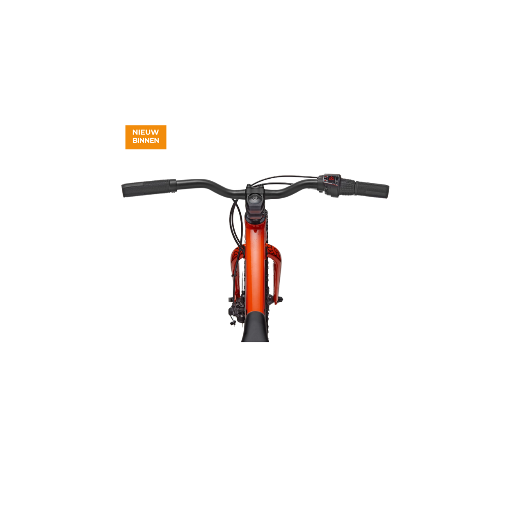 Cannondale Kids Trail Plus 20