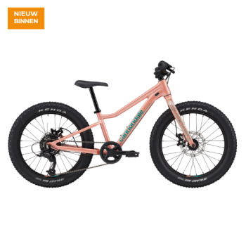 Cannondale Kids Trail Plus 20