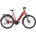 champion red glans