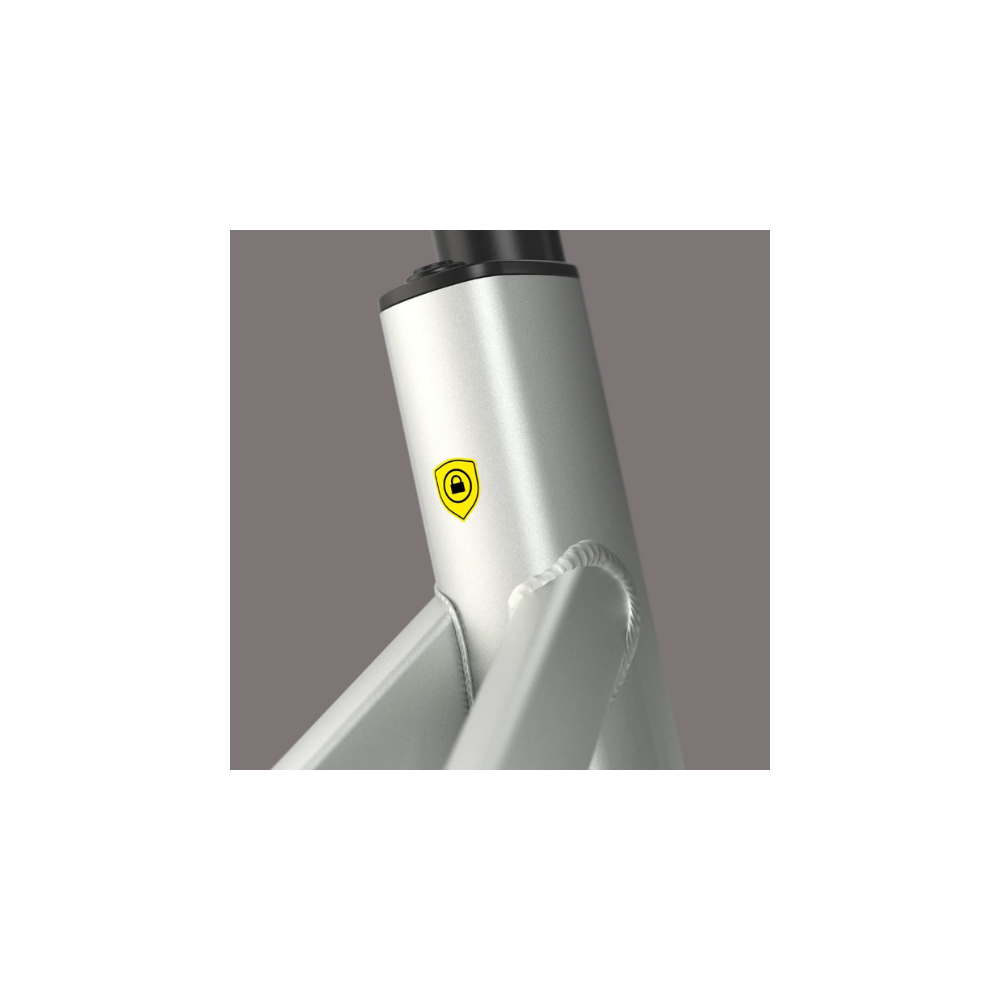 Gazelle Cayo C310 (2026) kopen bij Banierhuis, de grootste Fietsenwinkel in Utrecht.