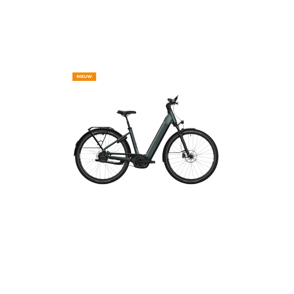 Flyer G2 Gotour 7.23 (lage instap) kopen bij Banierhuis, de grootste Fietsenwinkel in Utrecht.