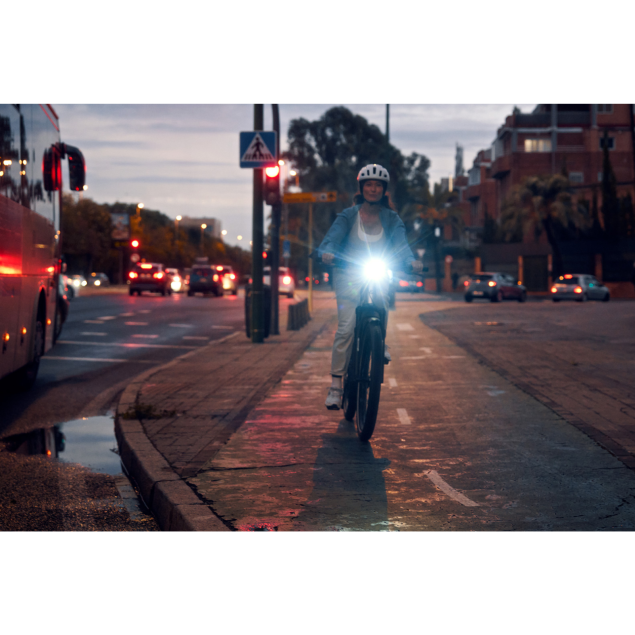 Riese & Müller Charger5 pinion - heren kopen bij Banierhuis, de grootste Fietsenwinkel in Utrecht.