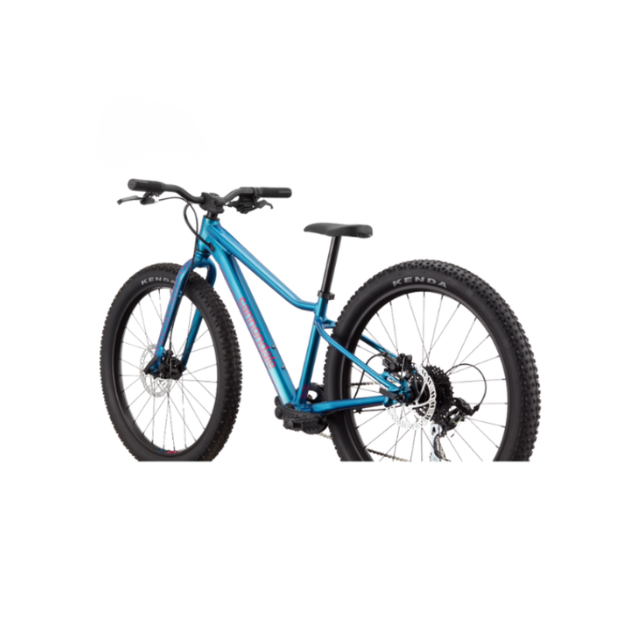 CANNONDALE 24 U Kids Trail Plus OS kopen bij Banierhuis