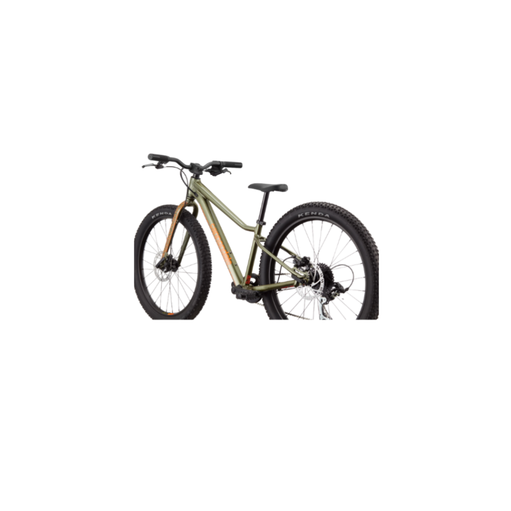 CANNONDALE 24 U Kids Trail Plus OS kopen bij Banierhuis