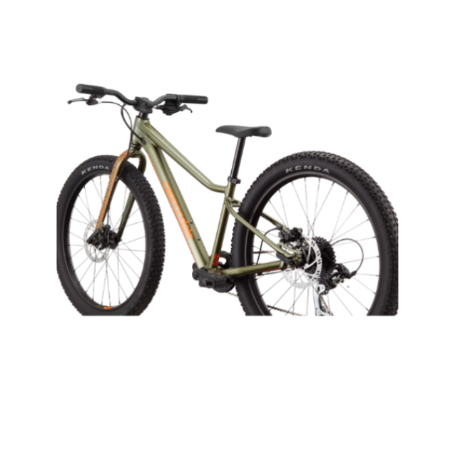 CANNONDALE 24 U Kids Trail Plus OS kopen bij Banierhuis