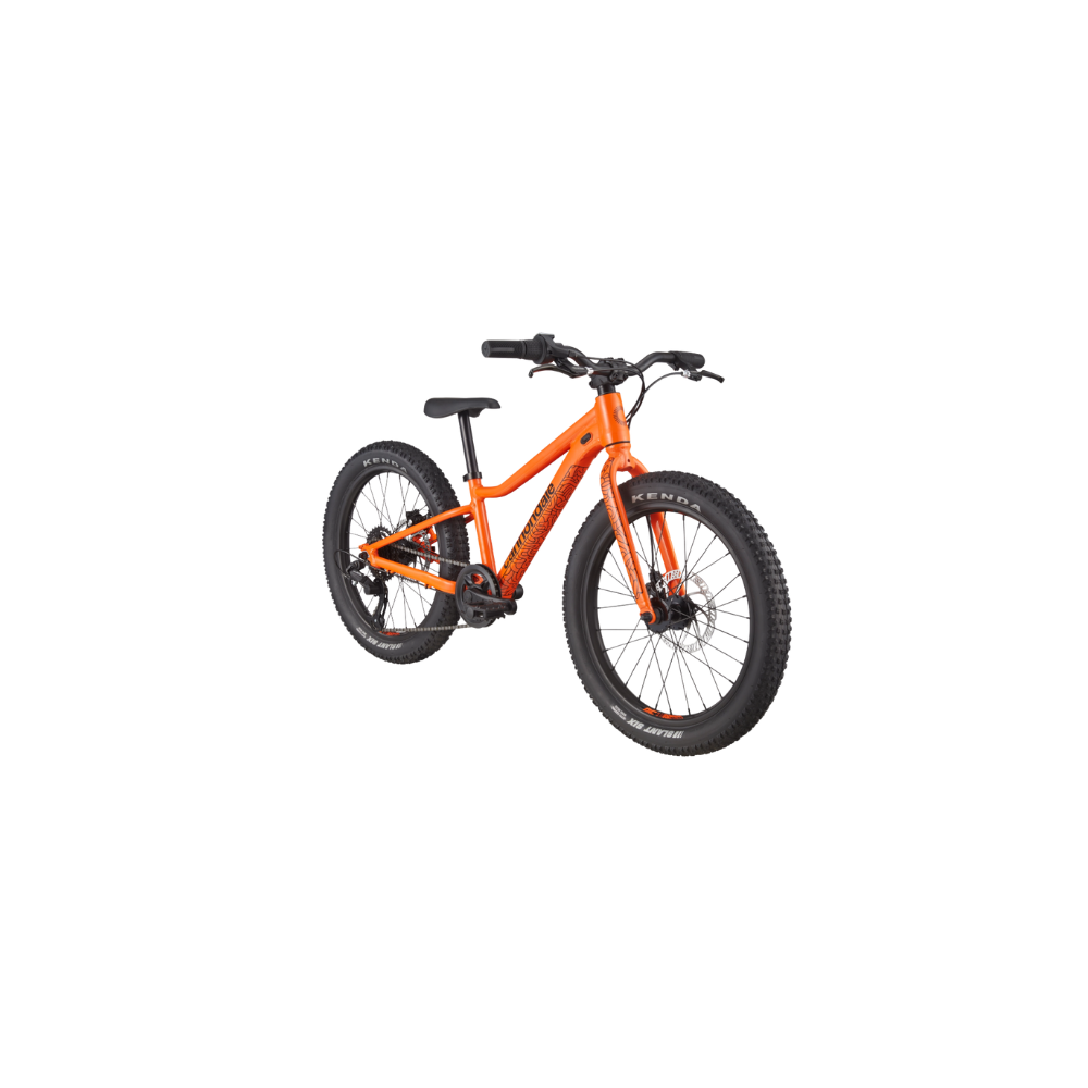 CANNONDALE 20 U Kids Trail Plus kopen bij Banierhuis