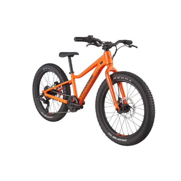 CANNONDALE 20 U Kids Trail Plus kopen bij Banierhuis