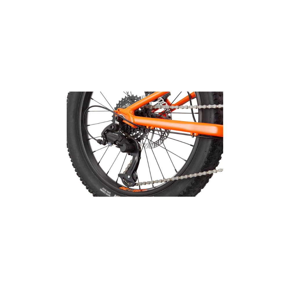 CANNONDALE 20 U Kids Trail Plus kopen bij Banierhuis