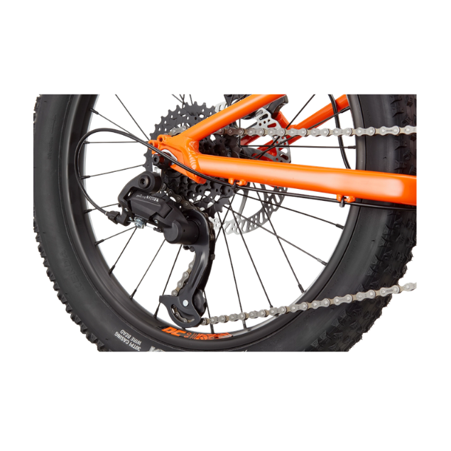 CANNONDALE 20 U Kids Trail Plus kopen bij Banierhuis