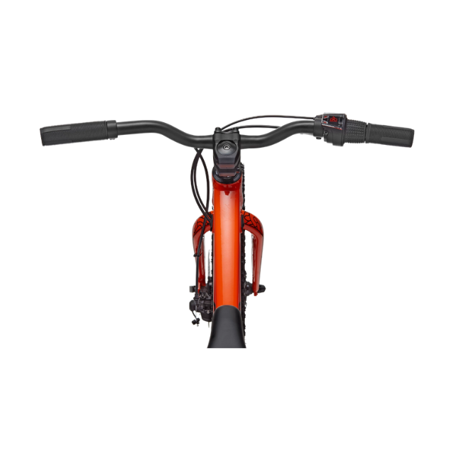 CANNONDALE 20 U Kids Trail Plus kopen bij Banierhuis