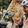 Waarom een goede kinderfietshelm écht het verschil maakt