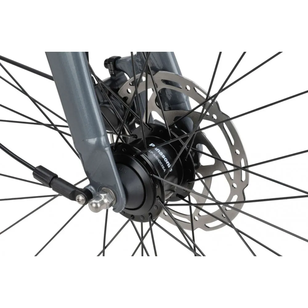 Batavus Dinsdag Exclusive Plus heren kopen bij Banierhuis, de grootste Fietsenwinkel in Utrecht.